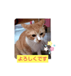 りんりんぶー（個別スタンプ：8）