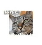 松吉と梅子、ちょっとリメイク（個別スタンプ：2）