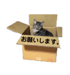 松吉と梅子、ちょっとリメイク（個別スタンプ：5）