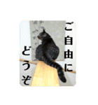 松吉と梅子、ちょっとリメイク（個別スタンプ：15）