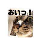 松吉と梅子、ちょっとリメイク（個別スタンプ：23）
