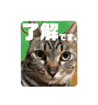 松吉と梅子、ちょっとリメイク（個別スタンプ：33）
