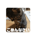 松吉と梅子、ちょっとリメイク（個別スタンプ：37）