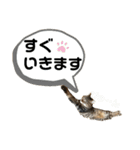 松吉と梅子、ちょっとリメイク（個別スタンプ：39）