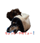 まろさん＆もんちゃん part4（個別スタンプ：2）