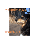 まろさん＆もんちゃん part4（個別スタンプ：21）