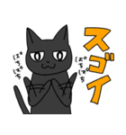 黒猫たっくん（個別スタンプ：10）