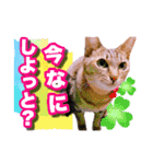 ねる＆まるの日常（個別スタンプ：2）