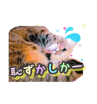 ねる＆まるの日常（個別スタンプ：3）