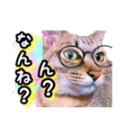 ねる＆まるの日常（個別スタンプ：4）