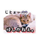 ねる＆まるの日常（個別スタンプ：6）