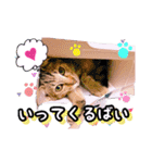 ねる＆まるの日常（個別スタンプ：7）