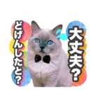 ねる＆まるの日常（個別スタンプ：10）