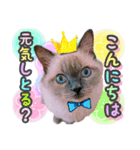 ねる＆まるの日常（個別スタンプ：11）