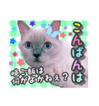 ねる＆まるの日常（個別スタンプ：13）