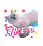 ねる＆まるの日常（個別スタンプ：14）