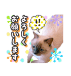ねる＆まるの日常（個別スタンプ：16）