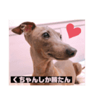 あい らぶ くちゃん♡（個別スタンプ：8）