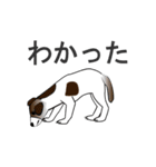 動く筋肉犬（個別スタンプ：18）