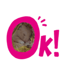 Funny-Family！！ 2（個別スタンプ：1）