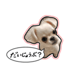 にこの日常part2（個別スタンプ：1）