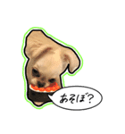 にこの日常part2（個別スタンプ：3）