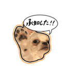 にこの日常part2（個別スタンプ：4）
