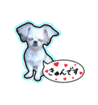 にこの日常part2（個別スタンプ：5）