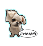にこの日常part2（個別スタンプ：7）