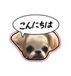 にこの日常part2（個別スタンプ：8）