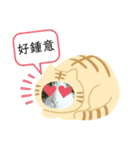 日本貓Tabi講廣東話  (広東語 cantonese)（個別スタンプ：18）