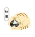 日本貓Tabi講廣東話  (広東語 cantonese)（個別スタンプ：24）