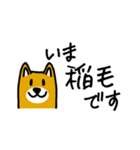 中央線・総武線→駅にいます（個別スタンプ：37）