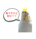 maiのペットたち（個別スタンプ：3）