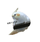 maiのペットたち（個別スタンプ：8）