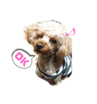 おすず_もも2（個別スタンプ：1）