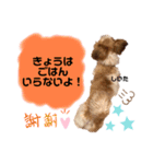 マルパピ②（個別スタンプ：2）