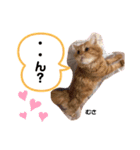 マルパピ②（個別スタンプ：7）