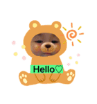 Funny-Family！！  3（個別スタンプ：19）