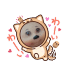 Funny-Family！！  3（個別スタンプ：21）