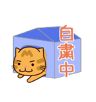 うちねこ♡日常ことば Part 2（個別スタンプ：3）