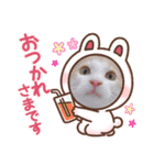 ししゃも2（個別スタンプ：7）