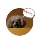 MIMIのきもち（個別スタンプ：2）