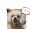 MIMIのきもち（個別スタンプ：4）