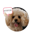 MIMIのきもち（個別スタンプ：6）