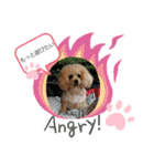 MIMIのきもち（個別スタンプ：8）