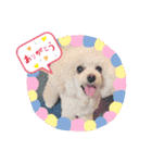 MIMIのきもち（個別スタンプ：11）