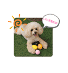 MIMIのきもち（個別スタンプ：13）