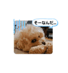 MIMIのきもち（個別スタンプ：15）