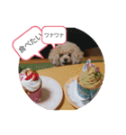 MIMIのきもち（個別スタンプ：16）